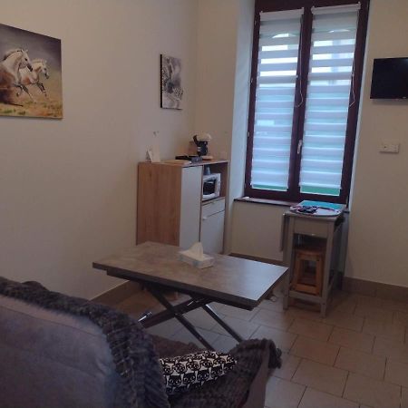 Appartement Rdc Chez Caroline Bourbonne-les-Bains Εξωτερικό φωτογραφία
