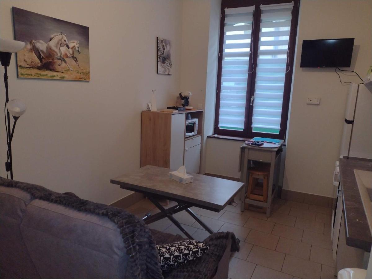 Appartement Rdc Chez Caroline Bourbonne-les-Bains Εξωτερικό φωτογραφία